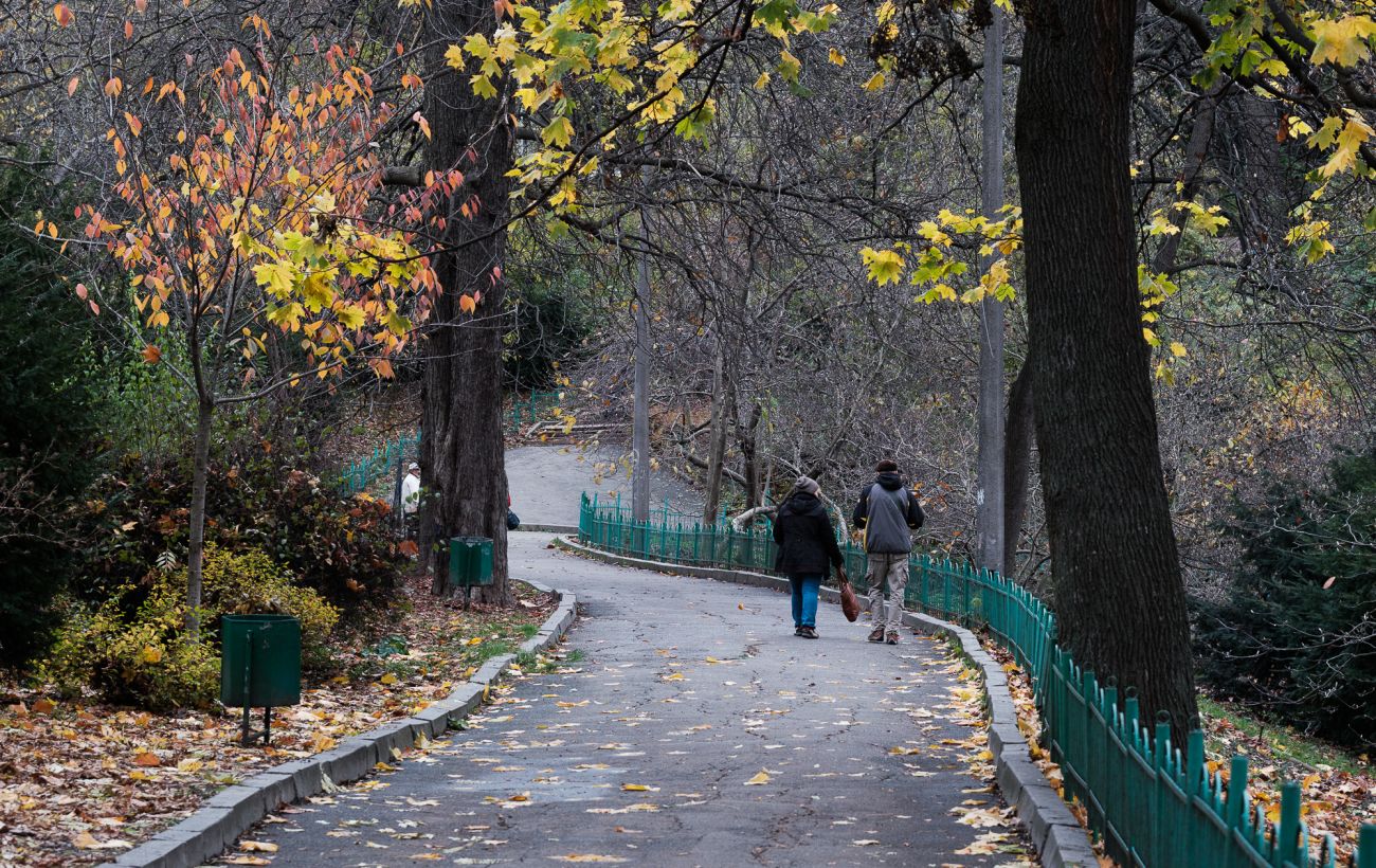 _osin_kii__v_park_foto___vitalii___nosach_rbk_ukrai__na_2_028af4a2933f6b148b4f6770db137adc_1300x820