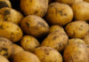 Попит і ціна на картоплю в Україні змінилися: що на них впливає