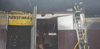 Сильне задимлення поблизу автівок: в Київській області спалахнула пожежа, – ФОТО