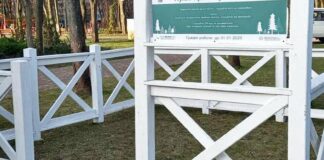 Ялинкам дадуть друге життя: як і де киянам здати новорічне дерево