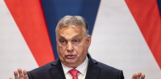 “Откройте “Дружбу”: Орбан написал письмо Зеленскому