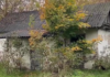 Жінка купила будинок в селі, а потім знесла його бульдозером (фото)
