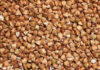 Чи буде дефіцит і зростання цін на гречку в Україні – прогноз експертів галузі