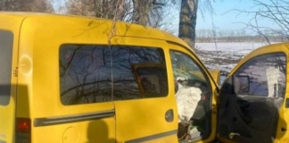 Смертельний удар і зламане дерево: на Київщині розслідують нещасний випадок, – ФОТО